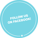 follow our facebook