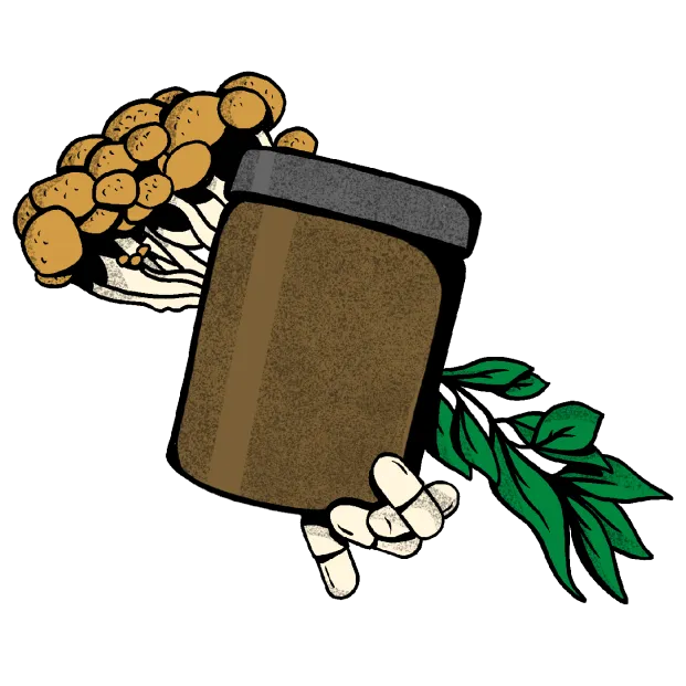 a jar with mushrooms and pills